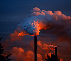 ��������Ŀ���}